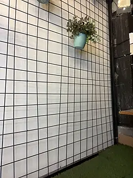 SweetCheeksXXX online show from April 3, 11:36 pm