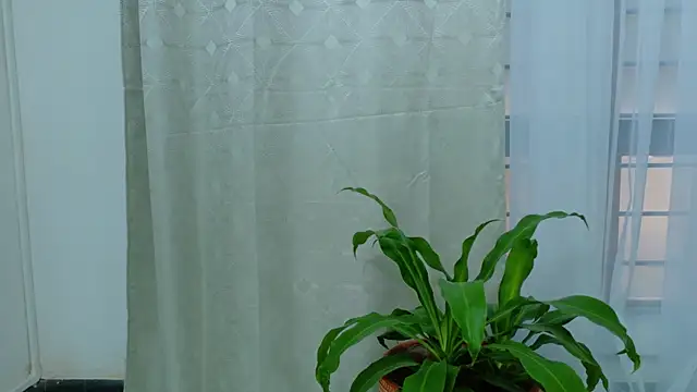 EbonyHorrny online show from September 15, 12:13 pm