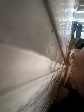 srtsara online show from November 27, 3:48 pm