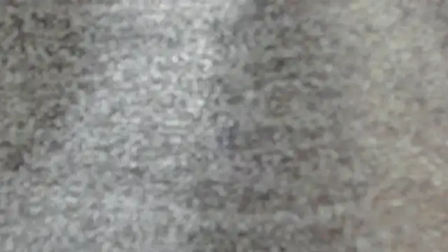 willy sexxx18 online show from July 13, 7:36 pm