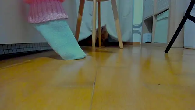 VellvetAnders online show from December 22, 7:44 am