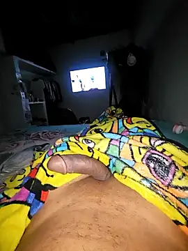 sexyboy fox online show from January 17, 4:20 am