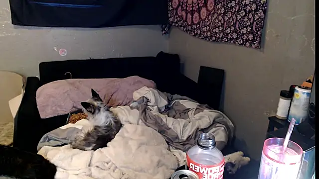 London Ray online show from November 15, 11:44 am