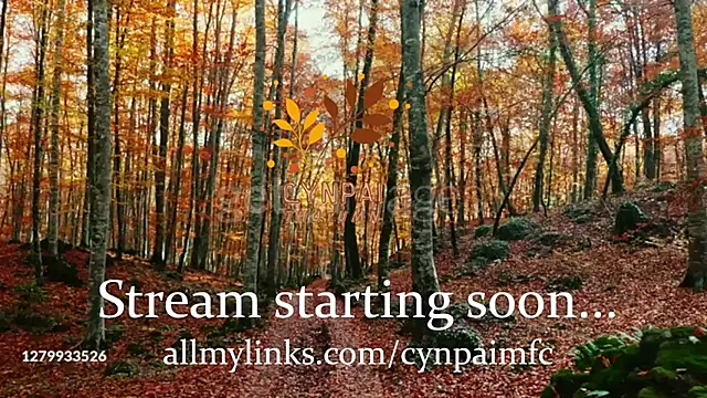 Cynpai online show from November 5, 9:20 pm