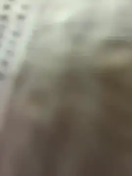 Dior 521 online show from November 17, 4:02 am