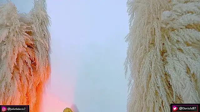 JulietaDavis online show from April 17, 9:33 am