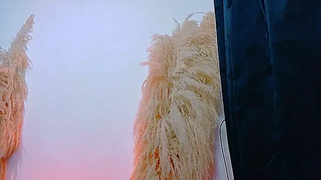 JulietaDavis online show from February 22, 9:32 am