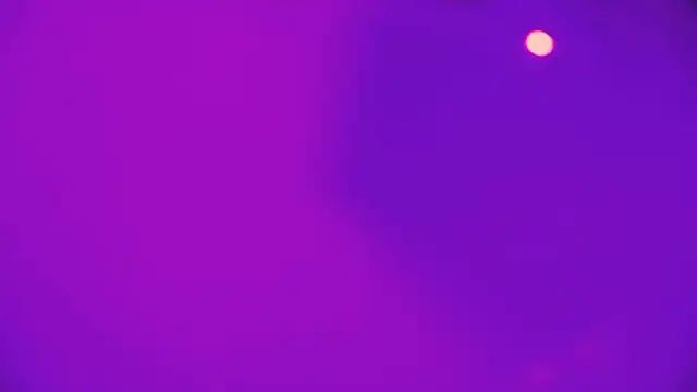 HeidiKendal online show from February 26, 3:22 pm