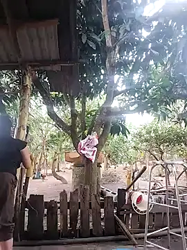 BigBoobs186 online show from October 15, 9:12 am