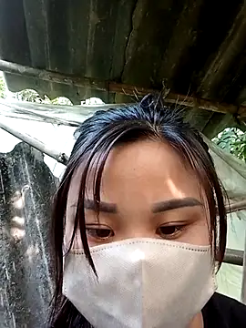 daisy will online show from December 1, 12:58 am