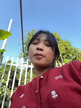 Phayphay77 online show from November 21, 7:43 am