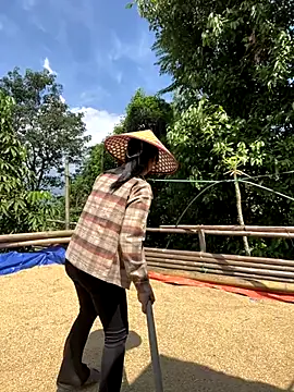 Phayphay77 online show from October 5, 4:28 am