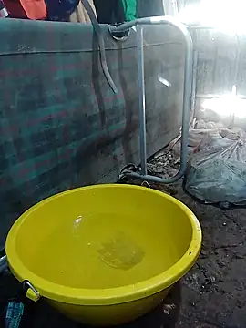 DauTay hot online show from October 1, 12:26 am