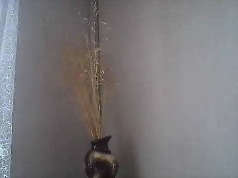 Littlecatme online show from July 21, 7:31 am