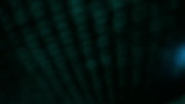 WILD FIREE  online show from November 7, 8:14 pm