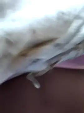 ashwini telugu1 online show from September 25, 11:46 pm