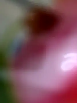 Cocomamii1 online show from November 8, 5:45 am