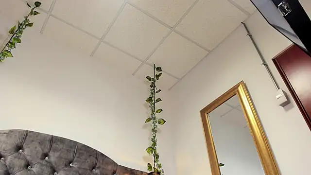 Blushhabex online show from December 20, 2:32 pm