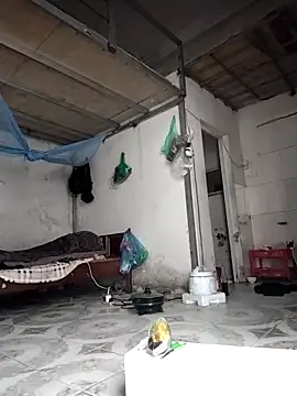 naop04 online show from November 7, 12:05 am