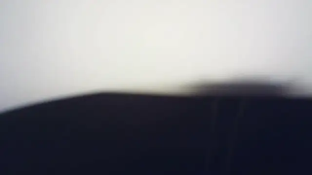 Terraelowen online show from March 21, 1:27 pm