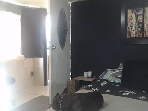 Dara-montenegro online show from October 16, 6:54 pm