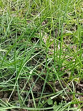 Cutwer online show from December 3, 4:59 am