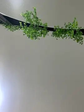 CharlotteBrownn  online show from October 25, 3:25 am