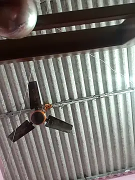 Cute-Swewty online show from November 18, 2:51 pm