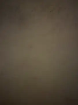 cutietootie02 online show from March 20, 1:21 am