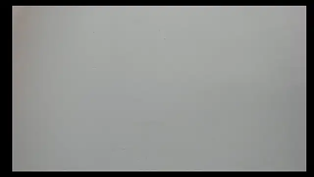 Saammy 17 online show from September 22, 8:29 pm