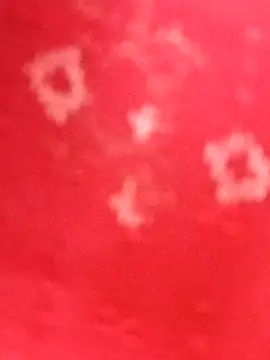 Laxmi 89 online show from October 26, 3:46 am