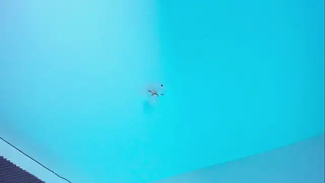 Ellope  online show from November 14, 9:59 pm