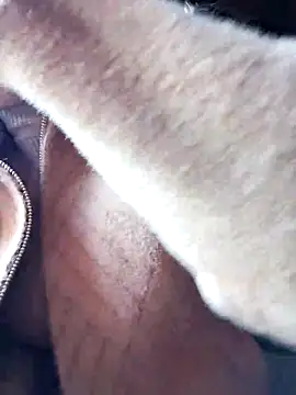 Sinejdk3 online show from November 29, 8:29 am