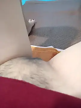 Thaohoa love online show from March 8, 6:56 pm