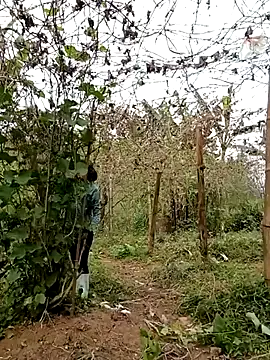 ngan-cute online show from March 3, 7:58 am