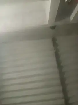 Payal950 online show from October 18, 3:15 pm