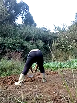 hera-00 online show from November 24, 8:49 am