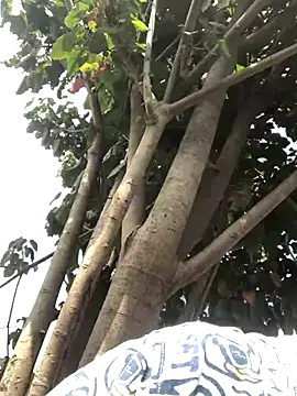 Paris 11 online show from September 15, 2:47 pm