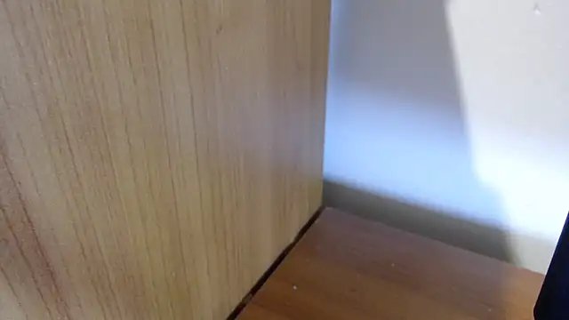 Pamela-StripX online show from March 9, 9:29 pm