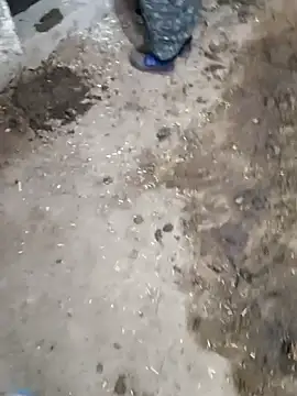 NextGenModel online show from January 16, 4:08 am