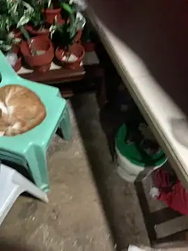 TS-YANNA online show from March 10, 3:27 pm