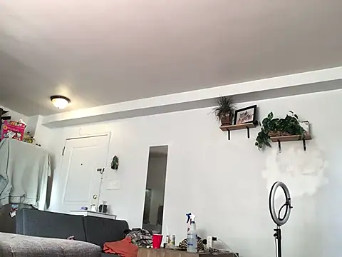 littyleesh1 online show from January 13, 4:00 pm