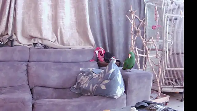 Alexis21821 online show from November 13, 7:18 am