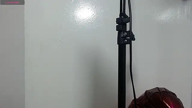 eva sk online show from October 5, 11:04 am