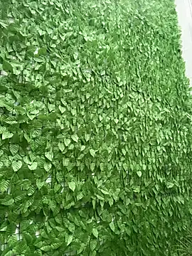 ROUSE SINCLAIR online show from October 23, 7:31 pm