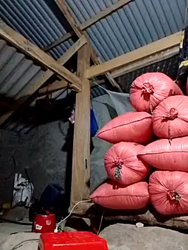 donna-bae online show from October 21, 11:47 am