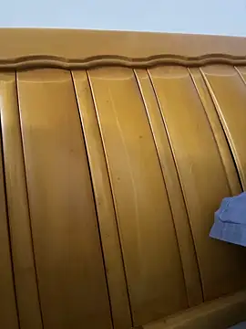 AZ37866 online show from February 6, 2:53 pm