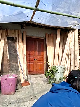 diamond-- online show from November 14, 7:19 am