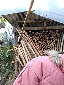 diamond-- online show from December 18, 8:08 am