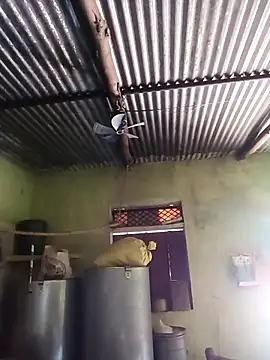 Haliya88 online show from October 22, 5:56 am